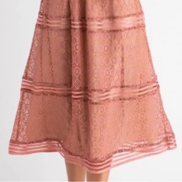 ROOLEE Romantic Beautiful Rose Pink Lace Lined MIDI Length Dress XXXL 3X New Tag - Picture 9 of 12